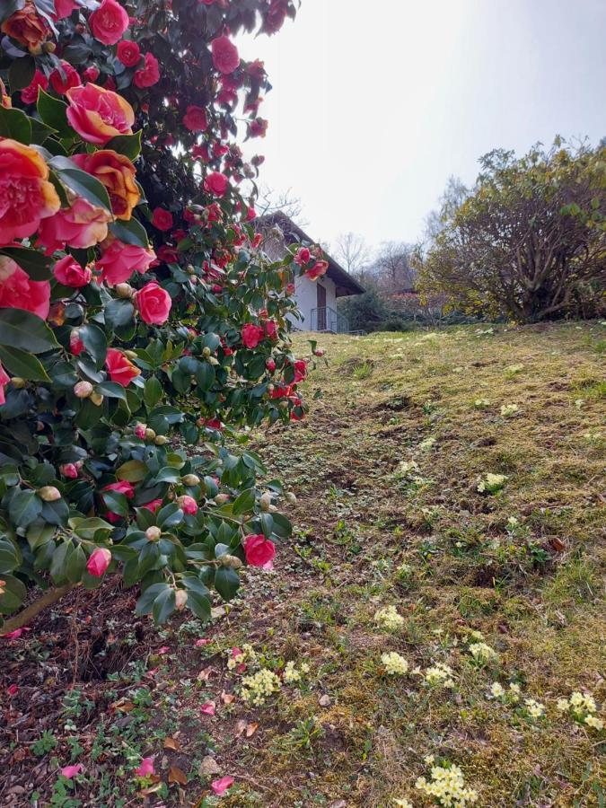 Вилла La Casa Delle Camelie Стреза Экстерьер фото
