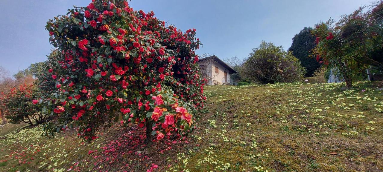 Вилла La Casa Delle Camelie Стреза Экстерьер фото